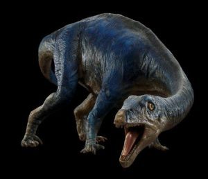 01.adeopapposaurus._foto_claus_rammel